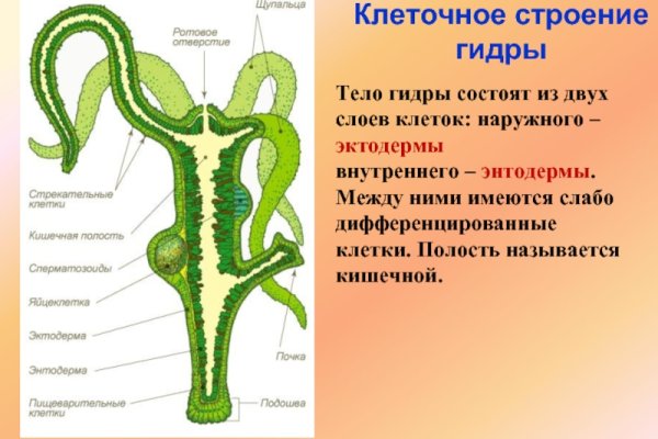 Кракен официальный