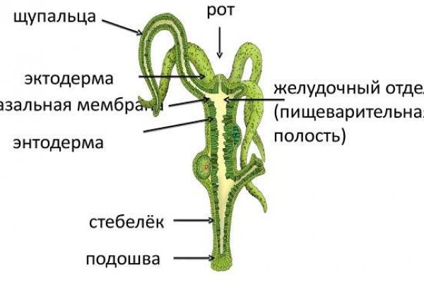 Кракен маркетплейс откуда взялся