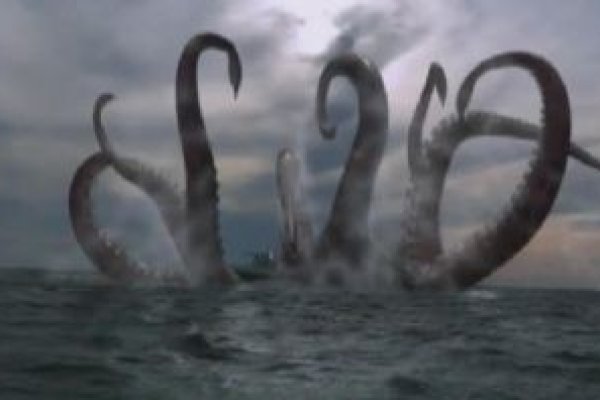 Kraken place