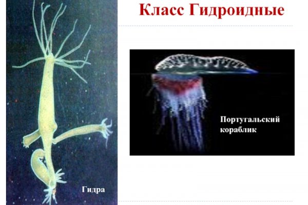 Кракен мефедрон
