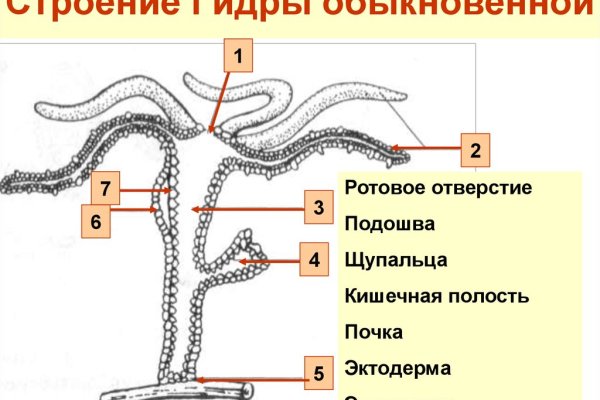 Kra50.cc Вход на сайт главная страница