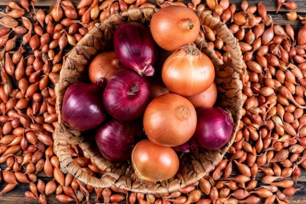 Сайты где купить наркотики