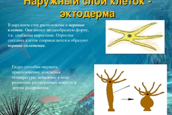 Kraken17 at