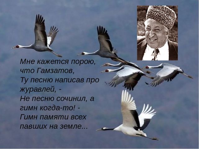 Кракен даркшоп