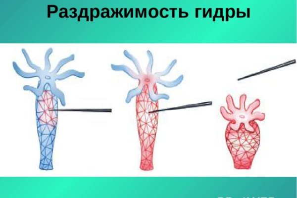 Кракен дарк ссылка