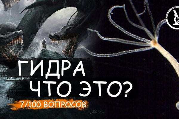 Как зайти на кракен с телефона андроид