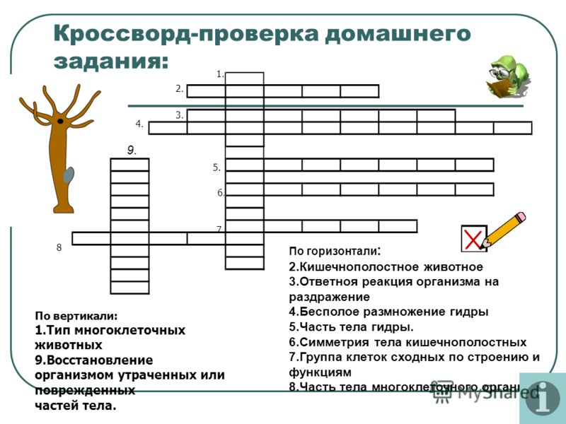 Кракен маркет даркнет только через тор