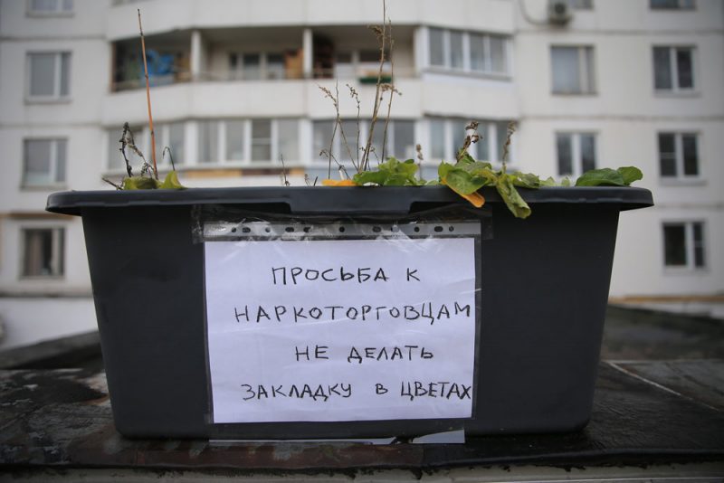 Кракен бошки